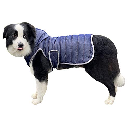 DAIHAN Hundejacke für Hunde, Wasserdicht Hundemantel Gefüttert Warmem Hund Jacke Mantel Ärmellose Weste Schneeanzug mit Kapuze Winterjacke Warm Weste Hundekleidung,Blau,XL von DAIHAN