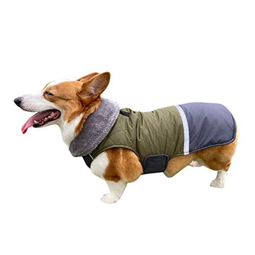 DAIHAN Hundemäntel mit Fleecekragen für Kleine Hunde, wasserdichte, Warme Welpenjacke Winterjacke Reflektierend Hundemantel Jacke Ärmellose Gepolsterte Weste,Grün,L von DAIHAN