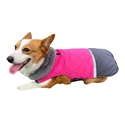 DAIHAN Hundemäntel mit Fleecekragen für Kleine Hunde, wasserdichte, Warme Welpenjacke Winterjacke Reflektierend Hundemantel Jacke Ärmellose Gepolsterte Weste,Pink,L von DAIHAN