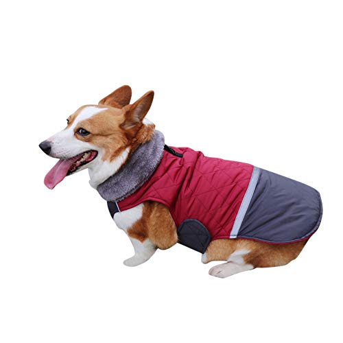 DAIHAN Hundemäntel mit Fleecekragen für Kleine Hunde, wasserdichte, Warme Welpenjacke Winterjacke Reflektierend Hundemantel Jacke Ärmellose Gepolsterte Weste,Rot,S von DAIHAN