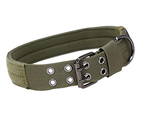 DAIHAN Militärisches Training Hochleistungs-Verstellbare Hundehalsband Weiches Hundehalsband mit D-Ring-Metallschnalle für mittelgroße Hunde ArmyGRGN L von DAIHAN