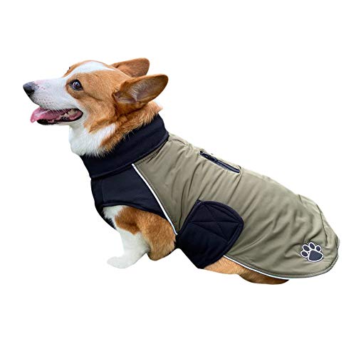 DAIHAN Warme Hundekleidung Winter Hundemantel Jacke mit Gurtloch Outdoor Sport wasserdichte Hundekleidung Outfit Weste für Kleine Mittelgroße Hunde,Grün,M von DAIHAN