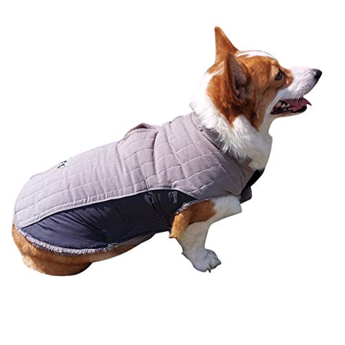 DAIHAN Winter Hundejacke Winter Weste Windbreaker Pet Warmer Mantel Hunde Hoodie Gesteppte Hundemäntel mit Kapuze,Grau,L von DAIHAN