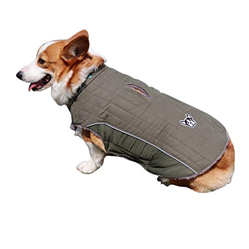 DAIHAN Winter Hundejacke Winter Weste Windbreaker Pet Warmer Mantel Hunde Hoodie Gesteppte Hundemäntel mit Kapuze,Grün,L von DAIHAN