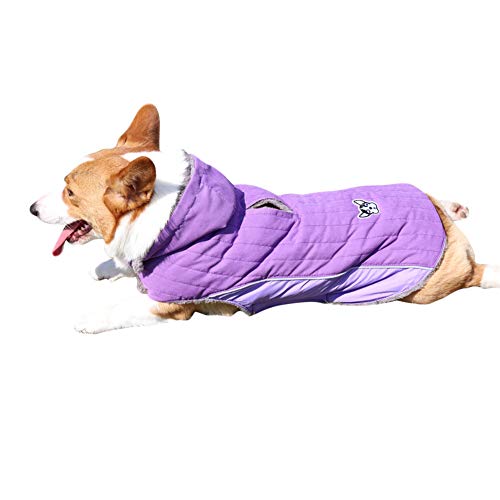 DAIHAN Winter Hundejacke Winter Weste Windbreaker Pet Warmer Mantel Hunde Hoodie Gesteppte Hundemäntel mit Kapuze,Lila,3XL von DAIHAN