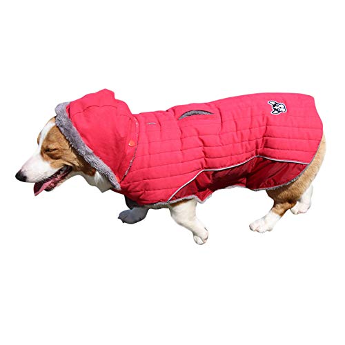 DAIHAN Winter Hundejacke Winter Weste Windbreaker Pet Warmer Mantel Hunde Hoodie Gesteppte Hundemäntel mit Kapuze,Rot,XS von DAIHAN