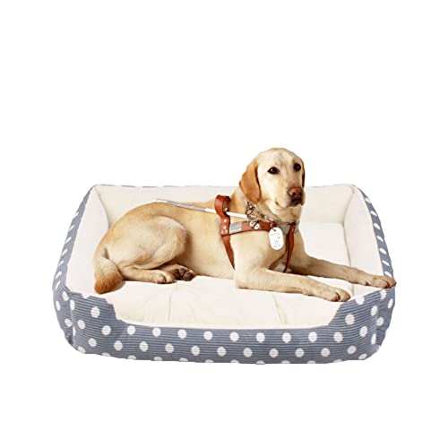 Hundebett, Dickes und Plüsch Hundebett Katzenbett, Waschbar Hundekorb Hundesofa, rutschfest Hundebett, Haustierbett für Kleine Hunde und Katzen,Beige,M(50x33x13cm) von DAIHAN