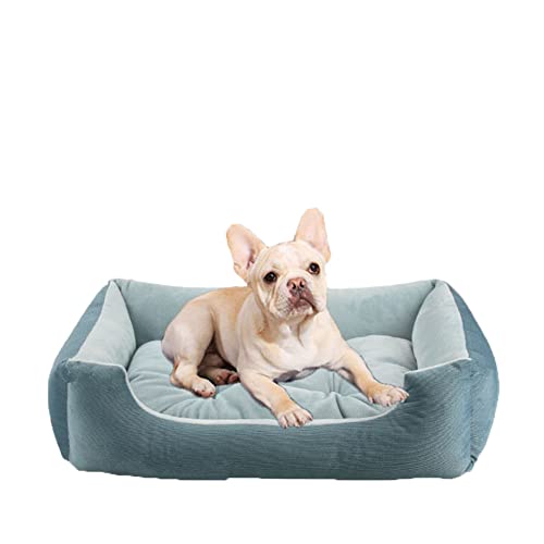 DAIHAN Hundebett, Hundekissen, Hundekorb, Bezug Abnehmbar und Waschbar, für Kleine Hunde Katzen, Rechteckiges Haustierbett rutschfest Waschbar Hundebetten,Blau,XXL(80x40x15cm) von DAIHAN