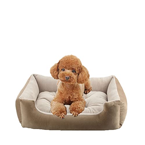 DAIHAN Hundebett, Hundekissen, Hundekorb, Bezug Abnehmbar und Waschbar, für Kleine Hunde Katzen, Rechteckiges Haustierbett rutschfest Waschbar Hundebetten,Khaki,L(60x42x14cm) von DAIHAN