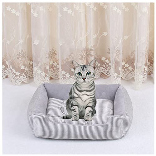 DAIHAN Hundebett Katzenbett Waschbar Katzen Bettchen mit Zweiseitig Innenkissen Katzenschlafplatz Hundesofa Hundecouch Haustierbett,Grau,3XL(90x70x15cm) von DAIHAN