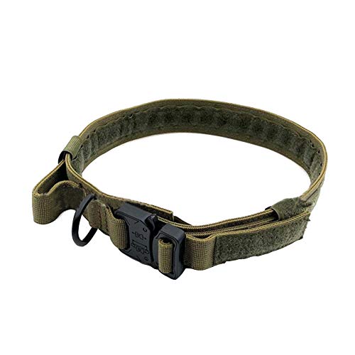 Hundehalsband Military Training Nylon verstellbar mit Metall D Ring & Schnalle Nackengürtel für Große Mittelgroß Kleine Hunde Army L von DAIHAN