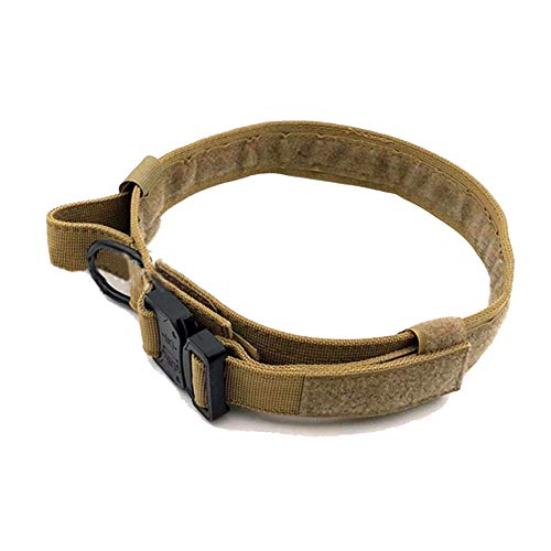 Hundehalsband Military Training Nylon verstellbar mit Metall D Ring & Schnalle Nackengürtel für Große Mittelgroß Kleine Hunde Ning XL von DAIHAN