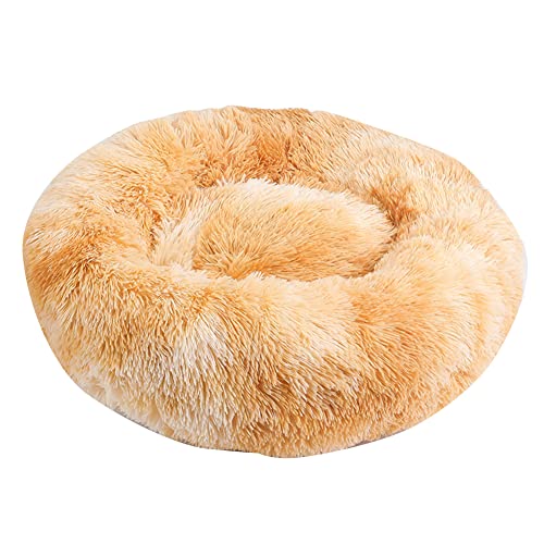 Katzen-Hundebett Flauschiger Plüsch Cosy Donut-Form Hundekorb Haustierbett Hundebett Katzenbett,Rund Selbstwarmer Kuschelzwinger Sofa Katzenkissen Pet Bolster Bett Schlafsack für Katzen und Hunde von DAIHAN