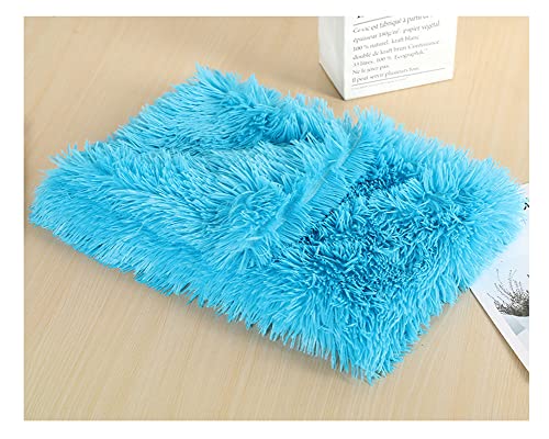 Pet Kitten Kunstpelz Weich und Bequem Hundedecke Katzendecke Plüschdecke,Rutschfester Flauschiges Katzenkorb Katzenbett Plüsch Kissenauflage Haustierbetten Hundematte Katzenkissen Blau 100*75cm von DAIHAN