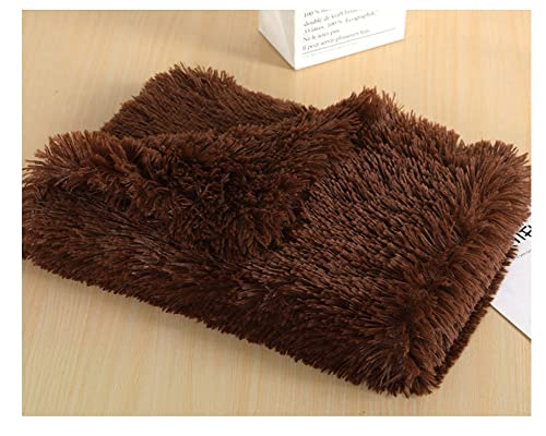 Pet Kitten Kunstpelz Weich und Bequem Hundedecke Katzendecke Plüschdecke,Rutschfester Flauschiges Katzenkorb Katzenbett Plüsch Kissenauflage Haustierbetten Hundematte Katzenkissen DaKaffee 78*54cm von DAIHAN