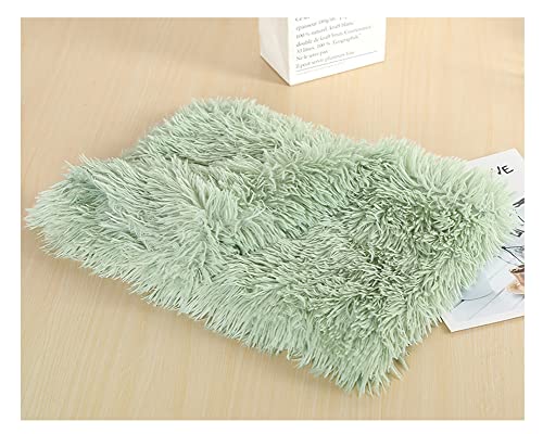 Pet Kitten Kunstpelz Weich und Bequem Hundedecke Katzendecke Plüschdecke,Rutschfester Flauschiges Katzenkorb Katzenbett Plüsch Kissenauflage Haustierbetten Hundematte Katzenkissen FruitGrün 78*54cm von DAIHAN