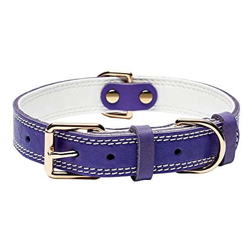 DAIHAQIKO Hundehalsband, Echtleder-Hundehalsband, robustes Hundehalsband, breites Hundehalsband für kleine Hunde, mittelgroße Hunde,58.4 cm Halsumfang, Doppelnaht – Violett ple) von DAIHAQIKO
