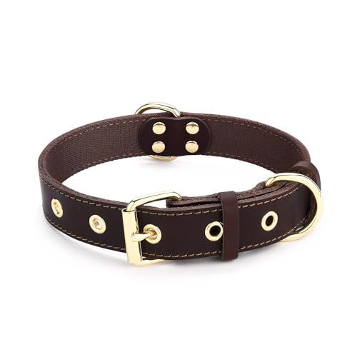 DAIHAQIKO Hundehalsband, klassisches Leder-Hundehalsband für große Hunde, mittelgroße Hunde, langlebig, strapazierfähig, verstellbar, für kleine Hunde (Braun, S: 38,6 - 48,8 cm Halsumfang) von DAIHAQIKO