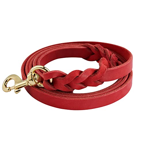 DAIHAQIKO Leder Hundeleine Weiches Leder Hundehalsband Reißfeste Und wasserdichte Geflochtene Hundeleinen FüR 4ft/6ft GroßE Mittlere Hunde Laufen Gehen Ausbildung von DAIHAQIKO