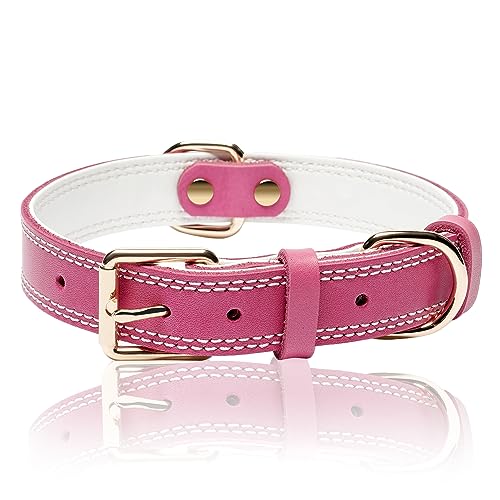 DAIHAQIKO Weiches Echtleder Hundehalsband Heavy Duty Atmungsaktiv Langlebiges Hundehalsband mit Metallschnallen Breites Haustierhalsband für Kleine Welpen Mittelgroße und Extra Große Hunde von DAIHAQIKO