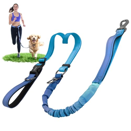 DAISTERN 6-in-1 Joggingleine Hunde, Freihandleine Elastisch Ruckdämpfend Reflektierend mit 360°Drehbarer Verriegelungskarabiner, Verstellbarer Hüftgurt für Mittelgroße und Große Hunde Blau von DAISTERN