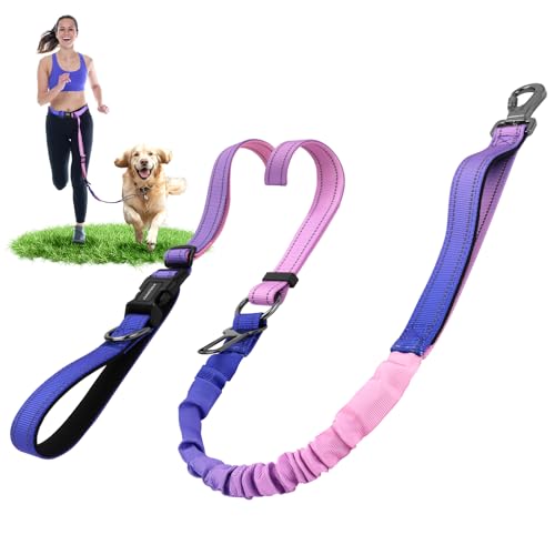 DAISTERN 6-in-1 Joggingleine Hunde, Freihandleine Elastisch Ruckdämpfend Reflektierend mit 360°Drehbarer Verriegelungskarabiner, Verstellbarer Hüftgurt für Mittelgroße und Große Hunde Lila von DAISTERN