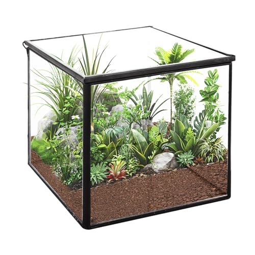 Quadratisches Glas-Moos-Terrarium mit Deckel von DAJAVE