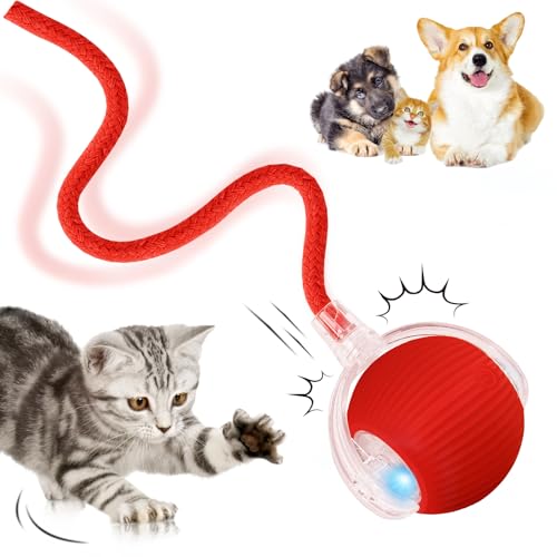 Interaktives Katzenspielzeug, Katzenball Spielzeug Elektrisch, 360° Rolling Intelligentes Katzenspielzeug Wiederaufladbar über USB, Bewegliches Spielball für Katzen und Hunde Innenbereich(Rosa) von DAMIGHT