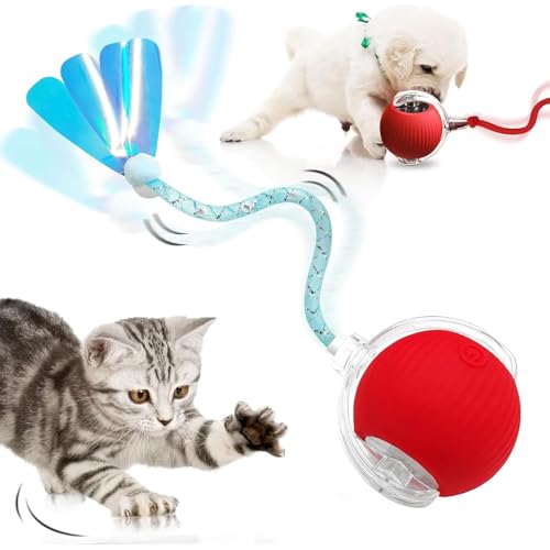 Katzenspielzeug Elektrisch Katzenball, Interaktives Katzenspielzeug Ball , Automatisch Rollender Hundespielzeug mit Schwanz, USB Wiederaufladbarer Power Katzenball für Katzen Hund Tac Toe Game (B) von DAMIGHT