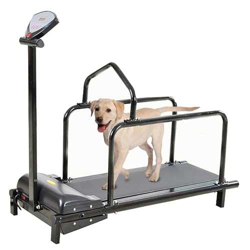 DAMIOO Hunde-Laufband für große Hunde, Laufband für mittelgroße Hunde, Haustier-Laufmaschine für kleine und mittelgroße Hunde, Übung, Indoor-Laufband von DAMIOO