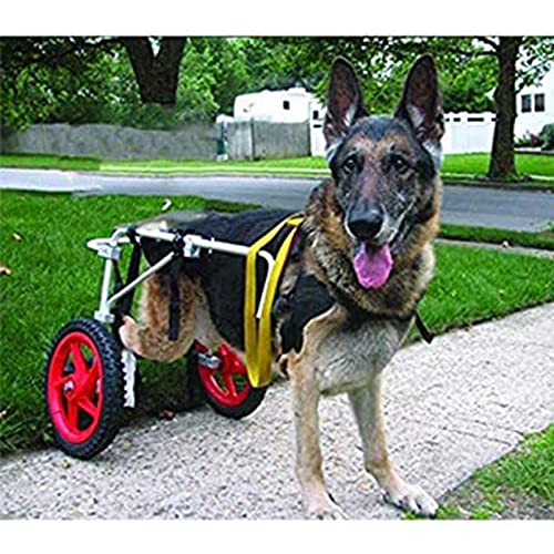 DAMOIFFP Hunderollstuhl, Hundemobilitätsgeschirr, Hundebuggy, verstellbar, groß, behindertengerechter Gehwagen für Hunde, Rehabilitation der Hinterbeine (L, XL) von DAMOIFFP