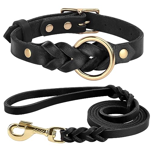 Echtes Leder Hundehalsband Leine Set Geflochten Langlebig Leder Hundehalsband Für Mittlere Große Hunde Haustier Zubehör L BlackSet von DANETI