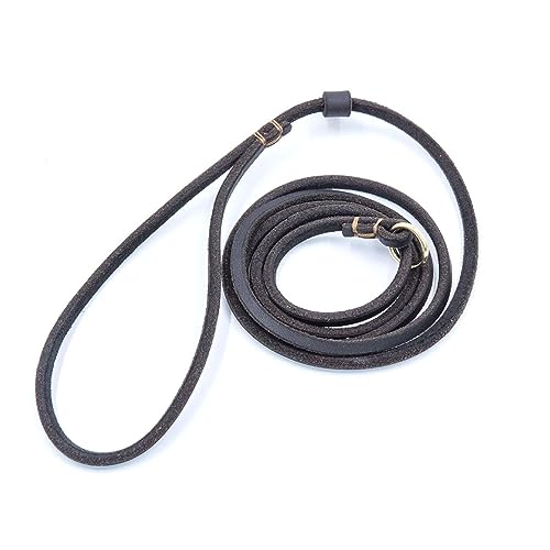 Hundeleine, Trainingsleine für kleine Hunde, Katzen, rutschhemmende Leine und Halsband für Welpen, 150 cm, Schwarz von DANETI