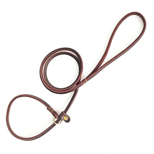 Hundeleine, Trainingsleine für kleine Hunde, Katzen, rutschhemmende Leine und Halsband für Welpen, S120 cm, Braun von DANETI