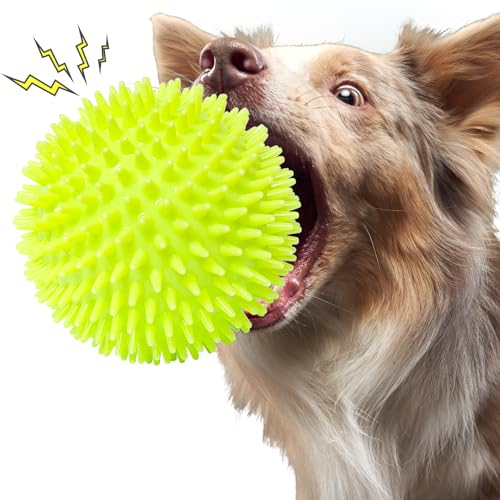 DAOZIJI Unzerstörbarer Hundeball mit Stacheln DAOZIJI Unzerstörbarer Hundeball mit Stacheln von DAOZIJI