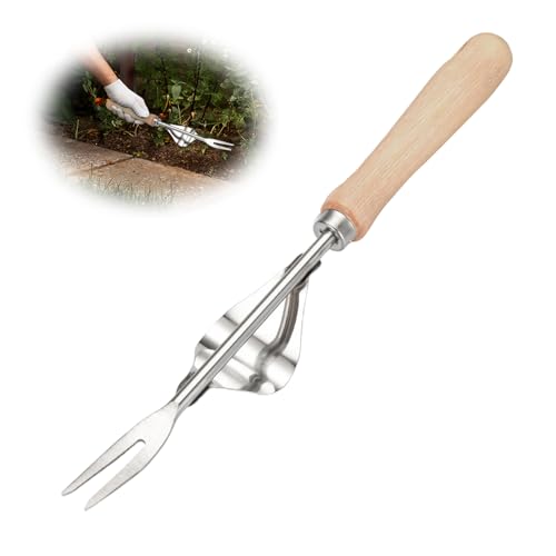 DARBEY Unkrautstecher Edelstahl, Unkrautstecher Garden, Gartenarbeit Hand Unkrautstecher, Gartenarbeit Gabel mit Naturholzgriff für Graben Jäten Lösen (1pcs) von DARBEY