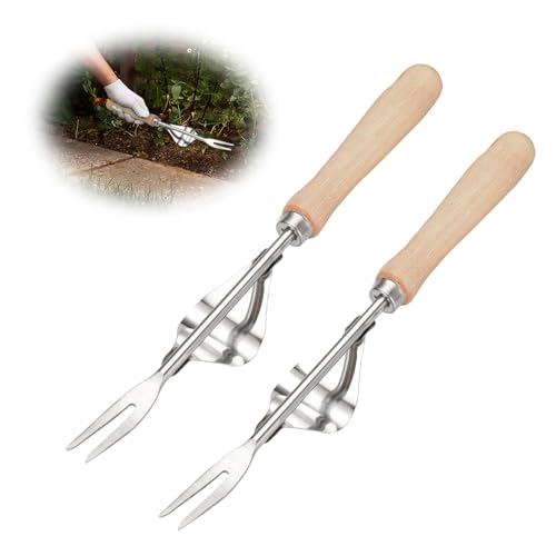 DARBEY Unkrautstecher Edelstahl, Unkrautstecher Garden, Gartenarbeit Hand Unkrautstecher, Gartenarbeit Gabel mit Naturholzgriff für Graben Jäten Lösen (2pcs) von DARBEY