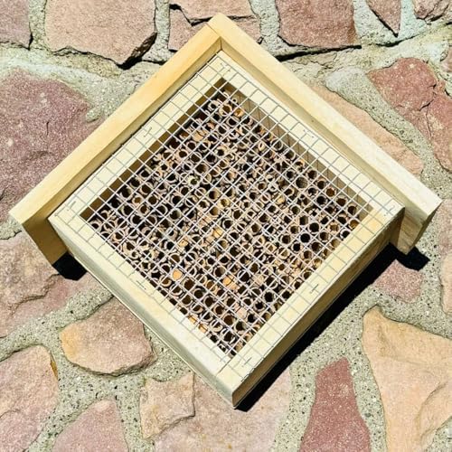 DARLUX Holz Insektenhotel L Wildbienen-Nisthilfe Rechteckiges Insektenhaus Naturbelassen mit Schutzgitter von DARLUX