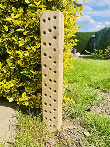 DARLUX Wildbienen - Insektenhotel Nisthilfe Hartholz Stamm Naturbelassen 600 mm Bienenhotel Stamm Insektenhotel Wildbienen Massivholz Hartholz Wildbienenhotel von DARLUX