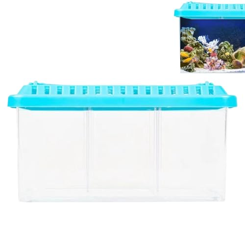 DASHIELL Schreibtisch-Aquarium, transparentes Fischaquarium mit herausnehmbaren Trennwänden, dekoratives Aquarium-Starter-Set, Fischschale, kleines Aquarium für Wohnung von DASHIELL