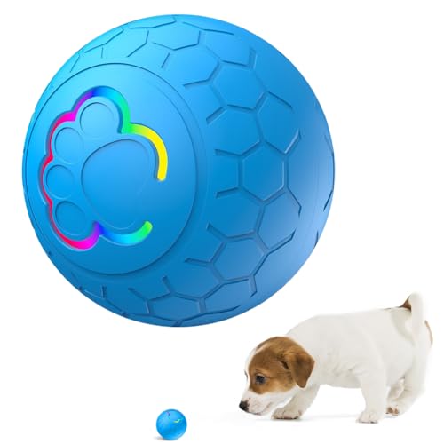 DASIAUTOEM Haustier Interaktives Spielzeug, Hundespielzeug Ball Intelligenz, Strapazierfähiger Automatisch Rollender Ball, LED Leuchtend, USB Wiederaufladbar, Elektrisch Spielzeug für Hunde Katzen von DASIAUTOEM