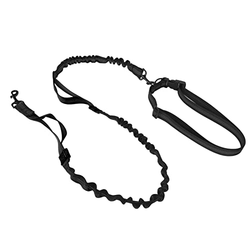 DAUZ Bungee-Hundeleine, Verstellbare, Verhedderungsfreie Nylon-Bungee-Leine mit 2 Gepolsterten Griffen Zum Spazierengehen (Black) von DAUZ