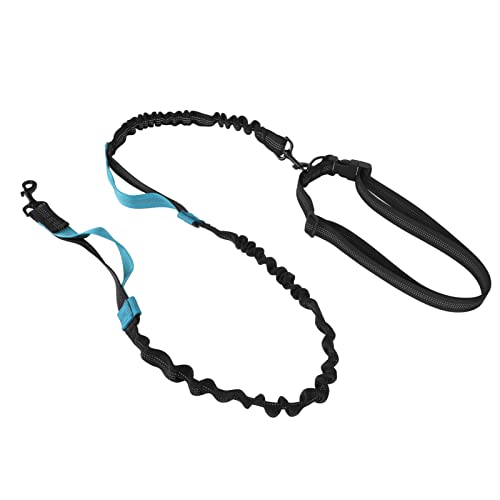 DAUZ Bungee-Hundeleine, Verstellbare, Verhedderungsfreie Nylon-Bungee-Leine mit 2 Gepolsterten Griffen Zum Spazierengehen (Blue) von DAUZ