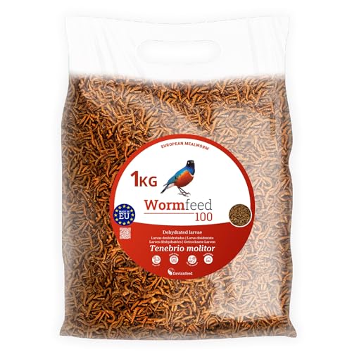 Wormfeed 100 - Premium Mehlwurm 1 kg - Tenebrio-Larven für Vögel, Reptilien, Nagetiere, Fische - Reich an Proteinen mit Omega 3 und 6 - Aufzucht in Europa - Davianfeed von DAVIANFEED