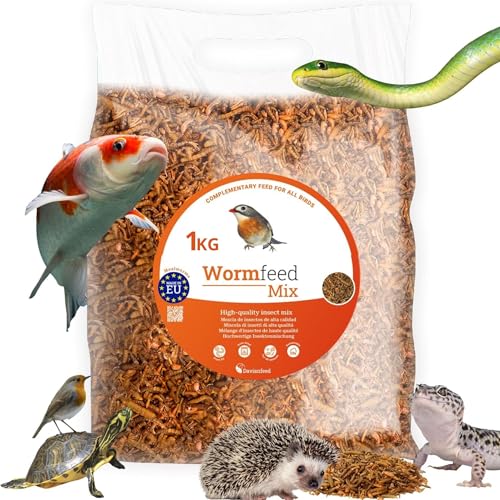 Wormfeed Mix - Premium Insektenmischung 1 kg - Tenebrio- und Fliegenlarven für Vögel, Reptilien, Nagetiere, Fische - Reich an Proteinen mit Omega 3 und 6 - Aufzucht in Europa - Davianfeed von DAVIANFEED