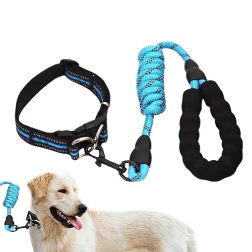 DAWCBVJQ Hundehalsband für mittelgroße Hunde, Welpenhalsband und Seil-Set | Verstellbares Hundehalsband,Reflektierende Design-Nylon-Hundehalsbänder, geeignet für große, mittlere und kleine Hunderassen von DAWCBVJQ