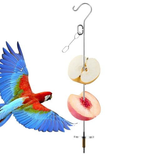 DAWCBVJQ Vogel Obsthalter,Obstfütterung Edelstahl Spießhalter | Käfig Deko Beschäftigungsspielzeug Für Wellensittiche, Nymphensittiche & Agaporniden DAWCBVJQ Vogel Obsthalter,Obstfütterung Edelstahl Spießhalter | Käfig Deko Beschäftigungsspielzeug Für Wellensittiche, Nymphensittiche & Agaporniden von DAWCBVJQ