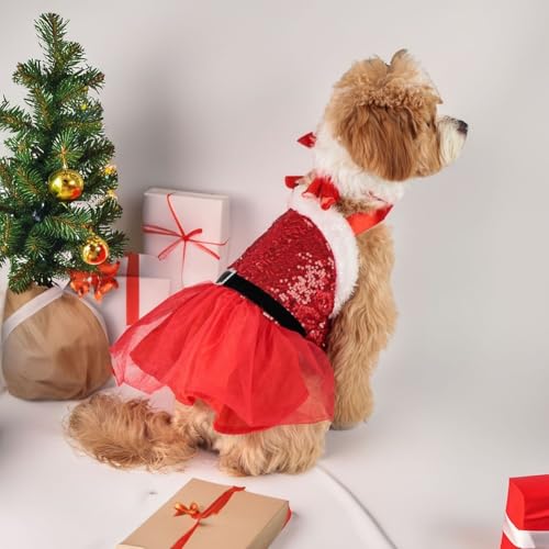 Merry Pet Apparel Weihnachtsmann-Kostüm für Hunde und Katzen, um Ihren festlichen Feiern Freude zu verleihen, Größe S von DAZZLEEX