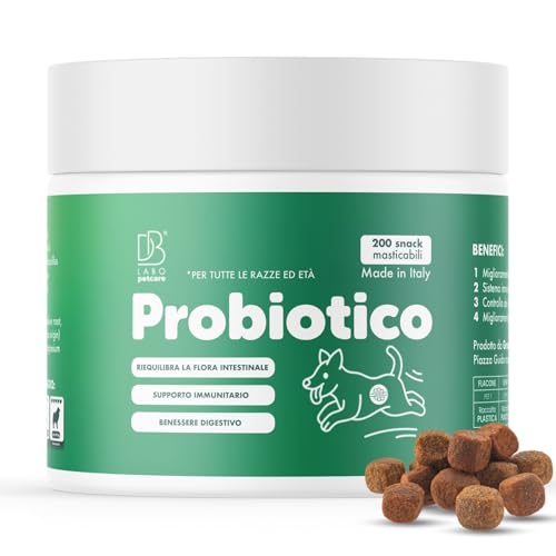 DB Labo – Probiotika für Hunde 200 Snack – Probiotikum Verdauungsprobiotik für Hunde verleiht Ihrem treuen Freund mit 4 Beinen Wohlbefinden – Milchferente für Hunde gegen Juckreiz, Allergien und von DBLabo