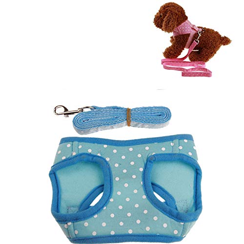 DC CLOUD Hundegeschirr Kleine Hunde Hundegeschirr Mittelgroße Hunde Hundegeschirr und Bleisätze Welpengeschirr für kleine Hunde Hundegeschirr führen 4,XL von DC CLOUD